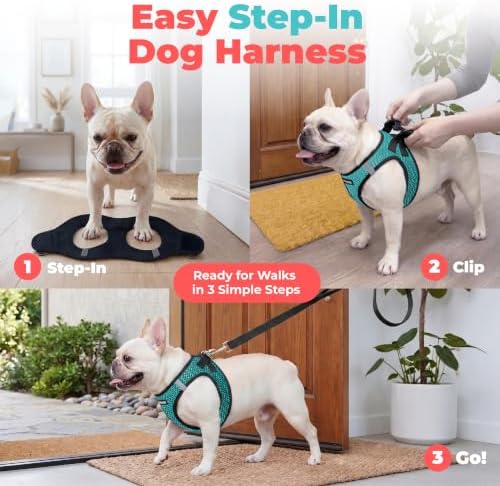 Voyager Step-in Air Dog Vest Harness - Turquoise 2-Tone, Large - Image 3