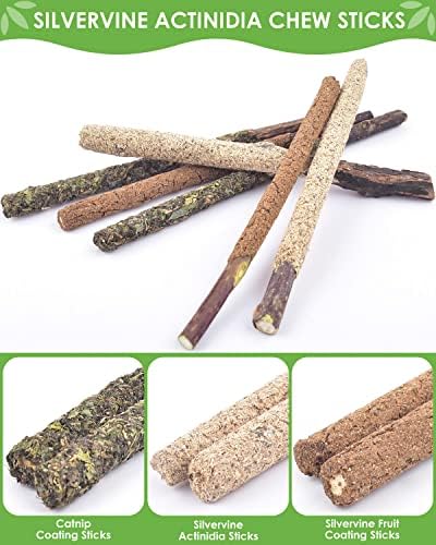 TINDTOP Silvervine Chew Sticks for Cats, 12 Pack Natural Catnip Chew Toys - Image 4
