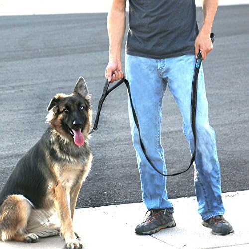 Max and Neo Double Handle Traffic Dog Leash - Reflective, Donates to Dog Rescue (Black, 6 FT) - Image 2