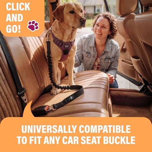 Active Pets Dog Seatbelt, Adjustable Safety Dog Seat Car Harness, Dog Seat Belt for Pets - Durable Dog Seatbelts for Cars - Dog Car Seat Belt for Dogs, Dog seat Belts for Large Dogs, Medium, & Small - Image 2