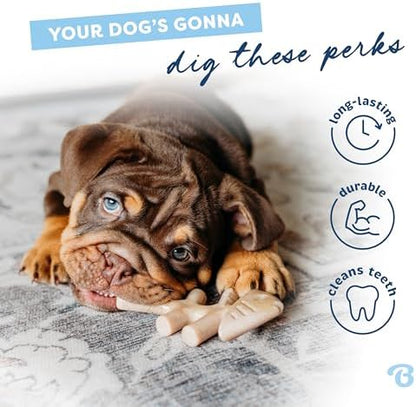 Benebone Puppy Fishbone Dog Chew Toys, Softer for Modest Chewers - Image 3
