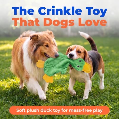 Best Pet Supplies Interactive Squeaky Dog Toy - Crinkle Duck, Green - Image 2