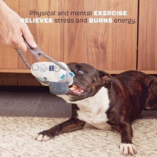 BarkBox Licka K9 Camera Dog Toy - Toy for Medium to Large Dogs - Image 3