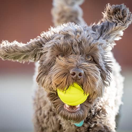 Hyper Pet Fetching Dog Toys - Throwing Ball Dog Toy Made with EVA Foam - Lightweight & Floats on Water,Green - Image 5