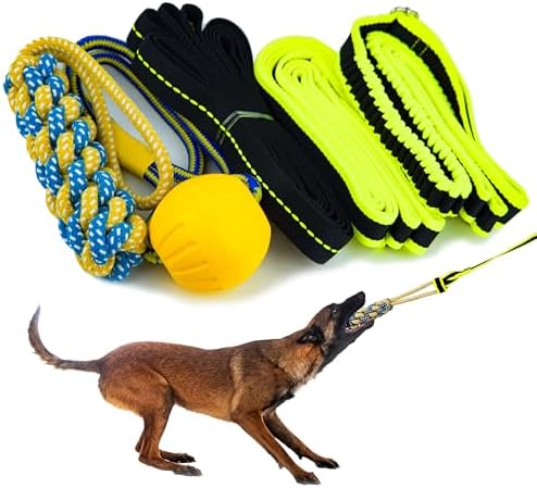 Bungee Tug Toy for Dogs - Outdoor Tree Rope Tether Tug 5 Pack - Spring Pole Dog Toy for Small to Large Breeds - Backyard Flirt Pole Exercise Toy by PetitePaws