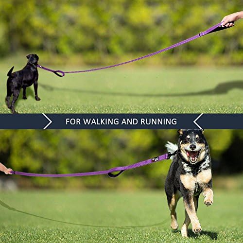 Plutus Pet Double Handle Dog Leash, 4 FT Long, for Medium Large Dogs - Image 6