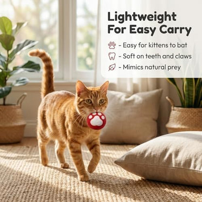 Glaciart One Catnip Wool Balls for Cats 5 Pack, Felt Cat Toys - Image 3
