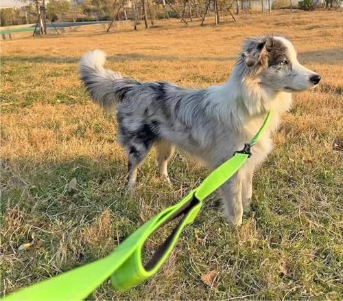 3 Handle Dog Leash 10FT Triple Handle Reflective Large Medium Dog - Image 5