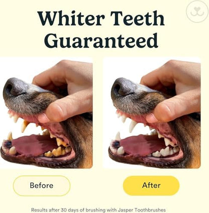 Jasper Dog Toothbrush, 360° Finger Toothbrush for Dogs & Cats, Clear 2-Pack - Image 2