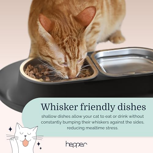 Hepper NomNom - Spill Proof Elevated Cat Bowls - Stainless Steel - Gray - Image 3