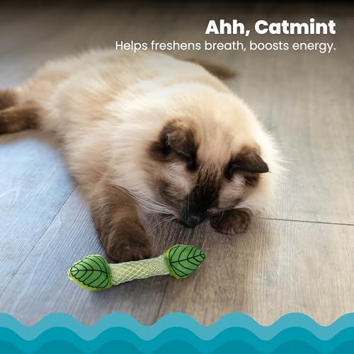 Catstages Fresh Breath Mint Stick Dental Cat Chew Toy with Catmint,Teeth Cleaning & Fresh Breath,Solo or Interactive Play,Green,(Pack of 2) - Image 3