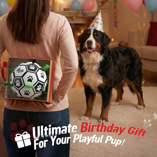 QDAN 10 Inch Gaint Dog Soccer Ball with Straps, Durable Large Dogs Balls - Image 5