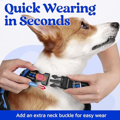 rabbitgoo Dog Harness Small Sized, No Pull 3 Buckles Easy On & Off - Image 2