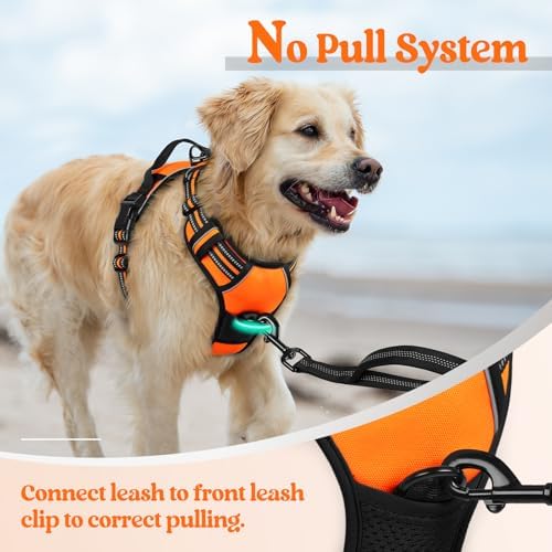rabbitgoo Dog Harness, No Pull for Small Dogs with 2 Leash Clips, Pet Vest - Image 5