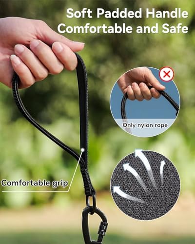 Joytale Long Dog Leash for Yard Tie Out & Recall Training, Black, 30FT - Image 3