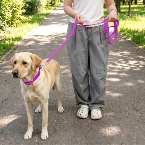 Waterproof Dog Leash with Double Handle, 6 FT Durable Odor-Proof Dog Leashes with Strong Aviation Aluminum Hooks Fits Small Medium or Large Dogs - Image 5