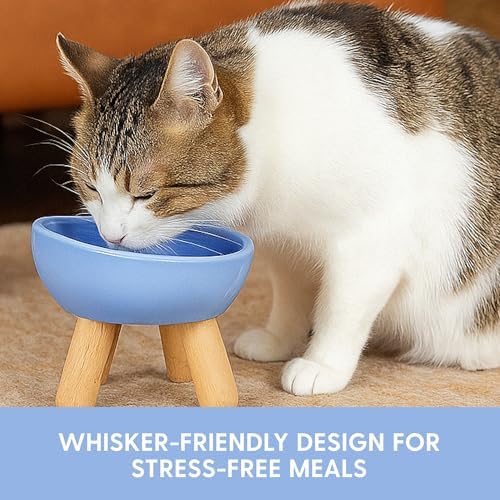 The Cat Ladies Tilted Ceramic Cat Bowl - Elevated Food Bowls Ceramic Pet Bowl - Raised Ceramics Bowls - Elevated & Tilted Design for Comfortable Eating - Dishwasher Safe - Wide Opening - Image 4