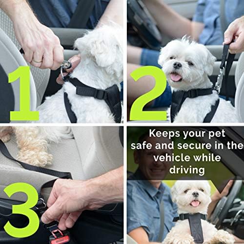 Dog Seat Belt Pet Dog Cat Car Seatbelt Safety Tether - 2 Pack - Adjustable Harness Belts Pet Leash - Heavy Duty Nylon Seatbelts - Universal Fit Cars Truck SUV - Image 3