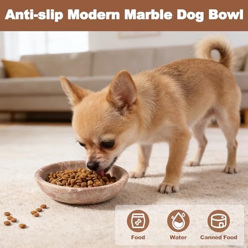 Natural Marble Cat Bowl, Weighted 1.5lb Cat Food Bowl for Cat and Small Dog, Small Animal Pet Food Dish Non-Slip, Shallow Dish for Whisker Fatigue Relief, Premium Red Stone for Home Decor - Image 6