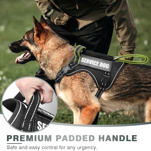 WINSEE Tactical Dog Harness, No Pull Dog Harness for Medium Large Dogs with Handle & Molle, Military Service Dog Vest Harness in Training Pet Harness for Small Dogs - Image 2