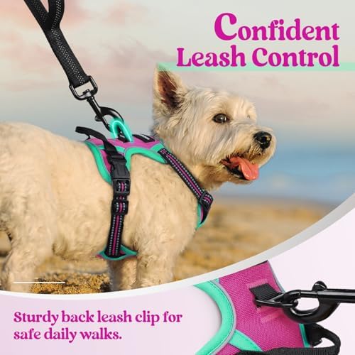 rabbitgoo Dog Harness, No Pull for Small Dogs with 2 Leash Clips, Pet Vest - Image 6