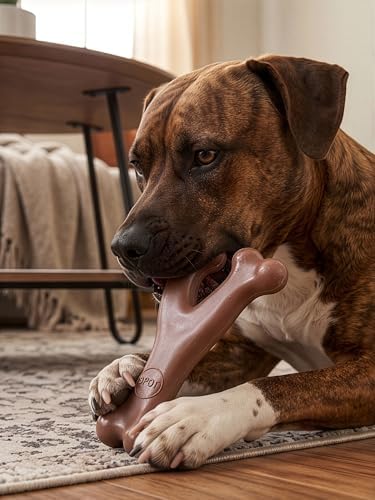 SPOT Bam-Bones Wishbone Dog Chew Toy, Bamboo Fiber Blend, Non-Splintering Durable Chew for Light to Moderate Chewers, Adult Dogs & Teething Puppies 25–50 lbs, Bacon Flavor, 7 in - Image 6