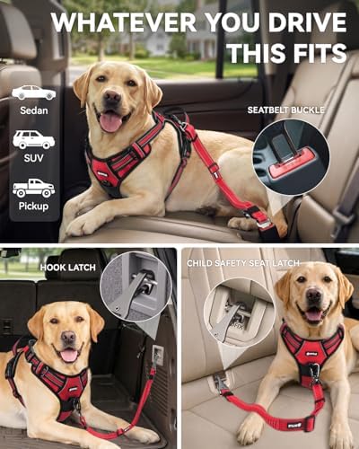 Joytale 3-in-1 Bungee Dog Seat Belt for Car, Medium and Large Dogs, Red - Image 2