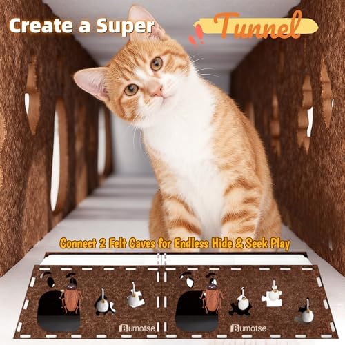 Cat Tunnel House for Indoor Cats, 3-in-1 Felt Cave and Scratcher - Image 2