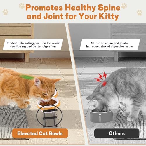 Elevated Adjustable Cat Bowl Set with 2 Dishes for Cats & Small Dogs - Anti-Vomiting,15° Tilted and Rasied Bowls with Non-Slip Design, Food-Grade Ceramic, Easy to Clean - Image 2