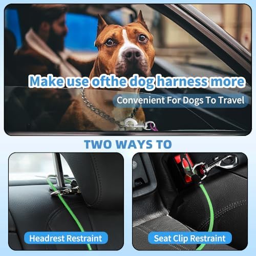 Dog Seat Belt Harness for Car,2pcs Dog Seatbelt of Coated Wire Leash Safety Restraint,No Chew Tether Cable Vehicle Dogs Accessories,Double Clips & Latch (Green, 16 inch/40 CM) - Image 6
