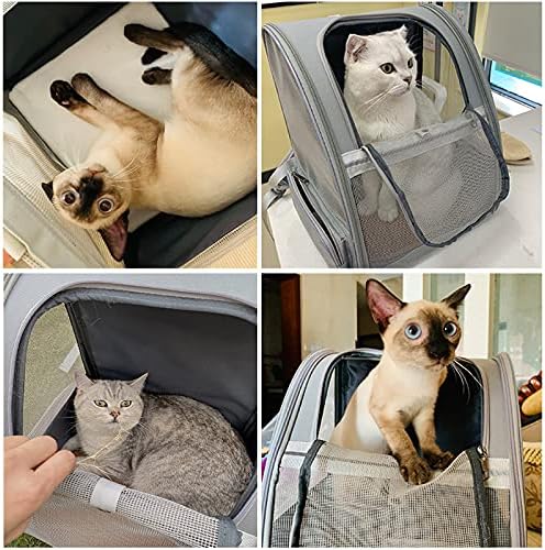 Texsens Innovative Traveler Bubble Backpack Pet Carriers for Cats and Dogs - Image 6