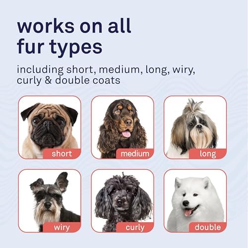 Petpost | Pet Odor Eliminator Spray for Dogs & Cats - Naturally Effective Deodorant and Bad Smell Killer - For Spraying Your Pet or Around the Home 8 oz. - Image 6