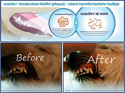 Dog Toothpaste : Chicken Flavor Tooth Paste for Dogs & Cats. Teeth Brushing Cleaner Pet Breath Freshener Oral Care Dental Cleaning Kit. Tartar & Plaque Remover Brushes - Image 5