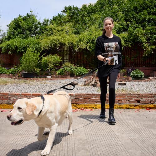 6 FT Black Nylon Reflective Dog Leash for Large Dogs with 2 Padded Handle - Image 6