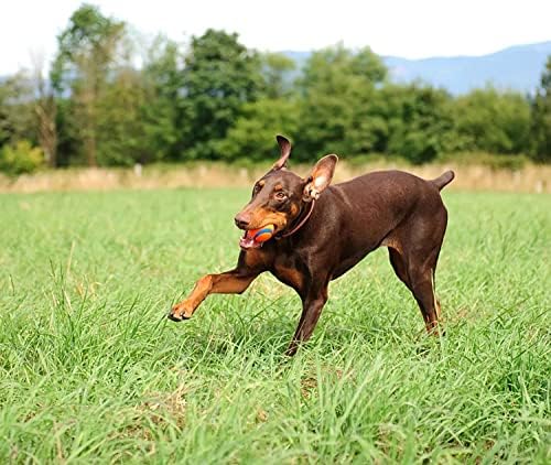 Chuckit! Ultra Ball and The Whistler Ball Dog Toys, Large (3.0 and 3.0 Inch Diameter) for Dogs 60-100 lbs - Image 4