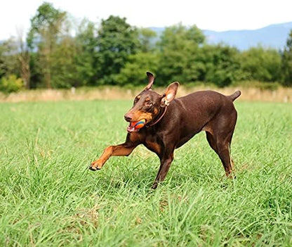 Chuckit! Ultra Ball and The Whistler Ball Dog Toys, Large (3.0 and 3.0 Inch Diameter) for Dogs 60-100 lbs - Image 4