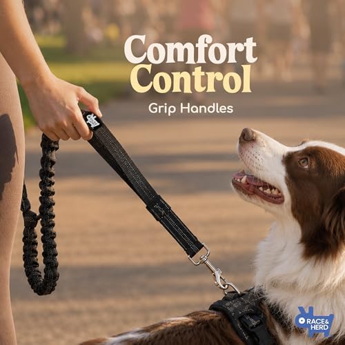 Race&Herd Dog Running Leash Hands Free — 68" Bungee Waist Belt (Onyx) - Image 3