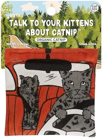 Blue Q Catnip - Cute Cat Toys for Biting w/Funny Graphics - Talk to Kitten by BlueQ
