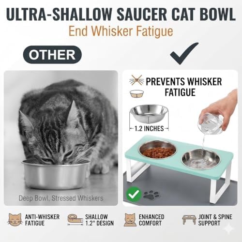 Summark Upgraded Elevated Cat Bowls with Food Mat,15°Tilted Stand Anti Vomiting Raised Cat Dishes for Food and Water,2 Stainless Steel Bowls for Cats and Puppy（Teal） - Image 2