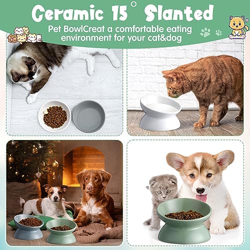 Hushee 4 Pcs Ceramic Raised Cat Food Bowls Elevated Tilted Dish Anti Vomiting Food or Water Bowls Pet Supplies - Image 5
