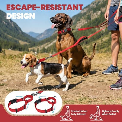VIVAGLORY Double Handle Dog Leash Twingrip, 5ft x 1in, L, Red - Image 2