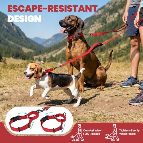 VIVAGLORY Double Handle Dog Leash Twingrip, 5ft x 1in, S, Red - Image 2