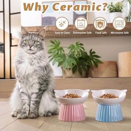 Ceramic Raised Cat Bowl，Tilted Raised Bowl Anti Vomit Bowls for Indoor Cats Whisker Friendly Pet Feeder for Cats Puppies, Microwave and Dishwasher Safe - Image 6