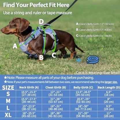 Huntboo Escape Proof Dog Harness, Dachshund Harness, Reflective Dog Harness with Handle, Durable,Adjustable Vest for Small Medium Large Dogs Walking, Training, and Running Gear (Technicolor Blue,XL) - Image 6
