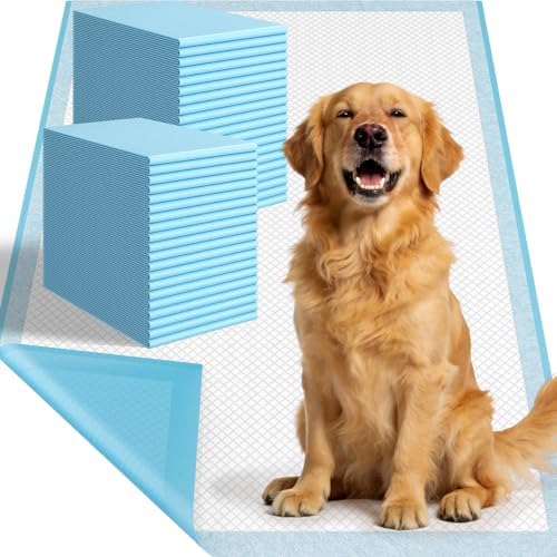 Large Puppy Pee Pads for Dogs 31" x 47" 40 Count, 6-Layer Leak-Proof XXXL Dog Pee Pads Extra Large, Super Absorbent Quick-Dry Thick Disposable Potty Training Pads by DSBATH
