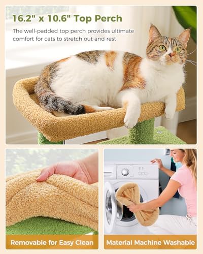 Small Cat Tree for Kittens, 32 in Cat Tower with 2 Cozy Condos - Image 7