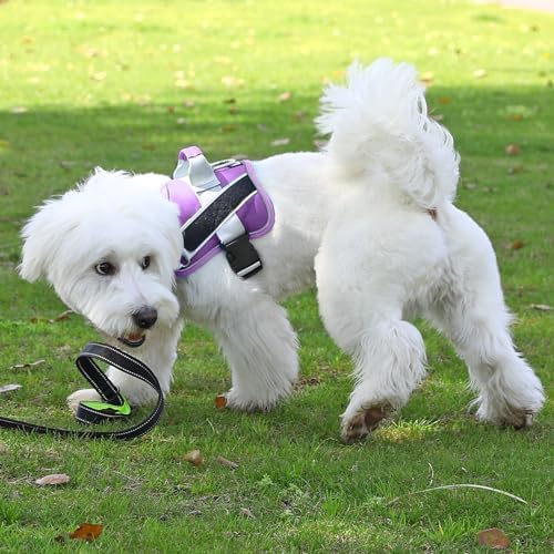 Dog Harness, No-Pull Reflective Dog Vest, Breathable Adjustable Pet Harness with Handle for Outdoor Walking - No More Pulling, Tugging or Choking (Lavender, Large (Pack of 1)) - Image 6