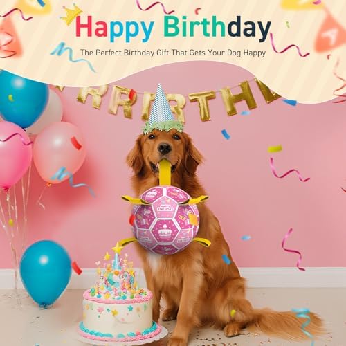 QDAN Dog Birthday Toys, Puppy Gifts, Dog Soccer Ball with Straps, Pink - Image 5