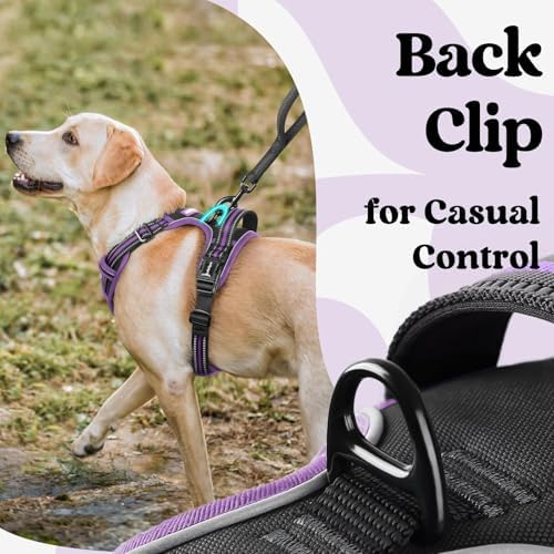 rabbitgoo Dog Harness for Large, Updated Easy On & Off with 3 Buckles - Image 5