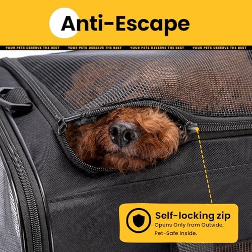 Conlun Dog Carrier Bag,Soft-Sided Pet Carriers for Dogs with 4-Sided Mesh, Cat Transport for Large Cats Small Dog Up to 20lb,Collapsible Dat Travel Carrier-L,Black - Image 6